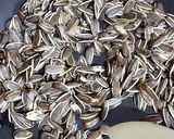 Foto del paso 2 de la receta: "Pipas" caseras (semillas de girasol saladas)