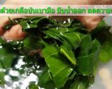 รูปขั้นตอนการทำที่ 4 ของ แกงกะทิใบยอ