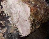 Foto del paso 6 de la receta: Bondiola Especiada