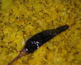 Mix Dal-Veggie-Fada (Broken Wheat) Khichadi recipe step 10 photo
