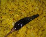 A picture of step 10 of Mix Dal-Veggie-Fada (Broken Wheat) Khichadi.