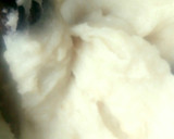 A picture of step 6 of Snow swallow.