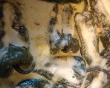 Foto del paso 10 de la receta: Chiles rellenos a la crema