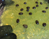 Foto del paso 7 de la receta: Gelatina de Gin Tonic
