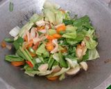 Foto langkah ke 5 dari resep Capcay goreng ala bunda Fadhil.