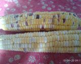 Foto langkah ke 1 dari resep Pergedel Jagung.