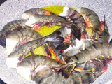 Gambas salteadas en aceite de oliva, ajo y sal del Himalaya