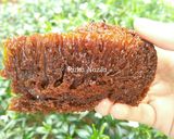 Foto langkah ke 7 dari resep Bolu Karamel (No Mixer No Oven).