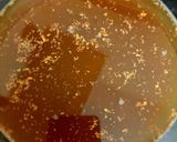 A picture of step 4 of Nannari syrup.
