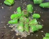 A picture of step 2 of Fried green chillies.