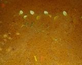 Foto del paso 10 de la receta: Minestrone a mi manera