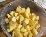 Apple Crisp (Fire Pit) recipe step 1 photo