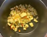 Christmas Mince Meat (Vegan friendly too) recipe step 1 photo