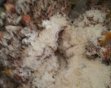 Foto del paso 4 de la receta: Tarta de Atún