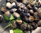 Foto del passaggio 7 della ricetta Paccheri con pesce, peperoni corno e olio aromatizzato con menta e basilico