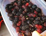 Foto del paso 1 de la receta: 🍇Licuado de Moras🖤