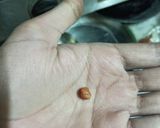 A picture of step 6 of Gajar Matar Ki Sabzi.
