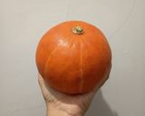 Foto langkah ke 1 dari resep 149. Labu Kuning Kukus Legit Santan.