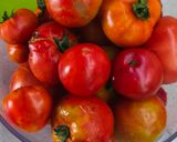 Foto del paso 1 de la receta: Passata de tomate