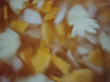 Asinan buah