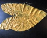 A picture of step 3 of Gujarati patra.