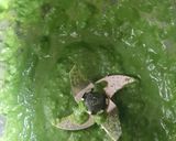 A picture of step 2 of Methi Chutney.