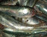 Une image de l'étape 2 de Sardines farcies.