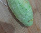 Shahi Stuffed Parwal recipe step 4 photo