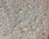 Foto del paso 8 de la receta: Pastel de tres leches