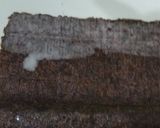 Foto langkah ke 3 dari resep Nori Chicken Roll.
