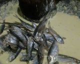Foto langkah ke 5 dari resep Ikan Asin Krispi.