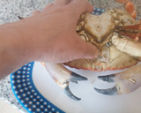 Foto del paso 3 de la receta: Buey de mar hervido estilo gallego