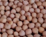 Foto del paso 3 de la receta: Crema de chocolate saludable sin azúcar agregado ni edulcorante, con garbanzos 🍫