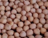 Foto del paso 3 de la receta: Crema de chocolate saludable sin azúcar agregado ni edulcorante, con garbanzos 🍫