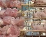 A picture of step 5 of Yakitori Party.
