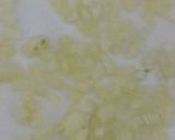 Foto del paso 3 de la receta: Espinacas gratinadas (vegetarianas)