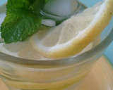 Foto del paso 4 de la receta: Agua de Mar isotónica con menta y limón