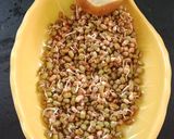 સ્પ્રાઉટ મગ અને મઠ નું સલાડ (Sprout Moong Moth Beans Salad Recipe In Gujarati) રેસીપી સ્ટેપ3ફોટો