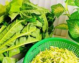Foto langkah ke 1 dari resep Tumis Bunga Pepaya.