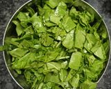 પાલક પનીર(Palak paneer Recipe in Gujarati) રેસીપી સ્ટેપ1ફોટો