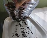 Foto del paso 14 de la receta: Bombones de Chocolate
