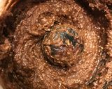 Foto del paso 1 de la receta: Brownies súper húmedos y chocolatosos SALUDABLES! Con un ingrediente secreto! Sin harina! Mi invento