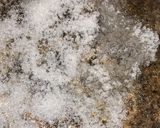 A picture of step 4 of Afghan pulao.