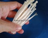 Foto langkah ke 2 dari resep Jamur Enoki Krispi.