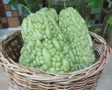Foto langkah ke 1 dari resep Pare Bumbu Pacri.
