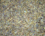 A picture of step 2 of Meat floss(Dambun nama).