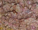 A picture of step 3 of Qeema Makhni Handi 😋.