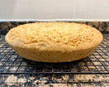 Foto del paso 14 de la receta: Tarta de queso ricotta y cacao
