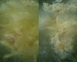 Foto langkah ke 6 dari resep Ayam goreng tepung kribo, renyah tahan lama aseli enaak & guriih.