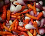 Foto langkah ke 1 dari resep Sambel Bawang ala Ida Baik.